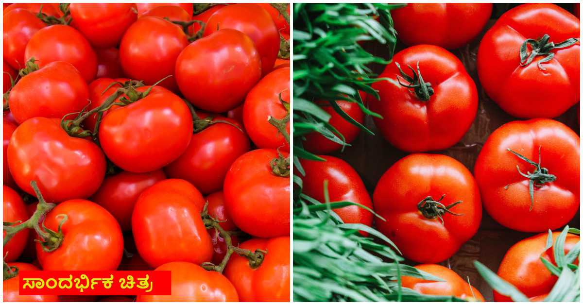 tomato will be distributed with subsidy from central govt
